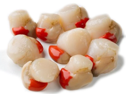 Ostión carne con coral 1kg IMP